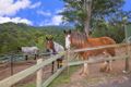 Property photo of 539 Bonogin Road Bonogin QLD 4213