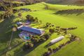 Property photo of 152 Odeas Road Strathewen VIC 3099