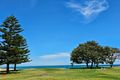 Property photo of 216 High Street Fremantle WA 6160