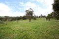 Property photo of 17 Carters Lane Seville VIC 3139