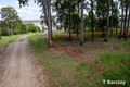 Property photo of 19 Ranora Avenue Russell Island QLD 4184