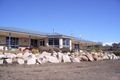 Property photo of 249 Kays Road Sladevale QLD 4370