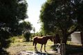 Property photo of 345 Squeaking Point Road Thirlstane TAS 7307