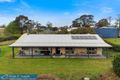 Property photo of 20 Oak Street Wyndham NSW 2550