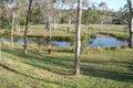 Property photo of 508 Kumbia Road Ellesmere QLD 4610
