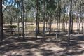 Property photo of 502 Palms Road Cooyar QLD 4402