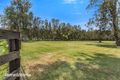Property photo of 370 Marsh Road Bobs Farm NSW 2316