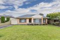 Property photo of 79 Dunrobin Road Warradale SA 5046