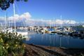 Property photo of 29 Brooksby Square Balnarring VIC 3926