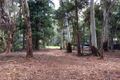Property photo of 8 Rainforest Court Boreen Point QLD 4565