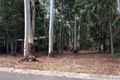 Property photo of 8 Rainforest Court Boreen Point QLD 4565