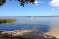 Property photo of 8 Rainforest Court Boreen Point QLD 4565