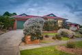 Property photo of 14 Showjump Crescent Endeavour Hills VIC 3802