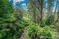 Property photo of 19 Ornata Road Mount Dandenong VIC 3767