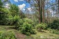 Property photo of 19 Ornata Road Mount Dandenong VIC 3767