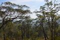 Property photo of 663 Commission Road Howes Valley NSW 2330