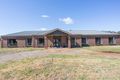 Property photo of 394 Obriens Lane Axedale VIC 3551
