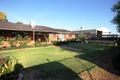 Property photo of 292 Coorong Avenue Red Cliffs VIC 3496