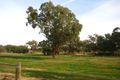 Property photo of 10 Ghost Gum Court Mulwala NSW 2647