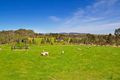 Property photo of 375 Three Chain Road Moranding VIC 3764