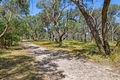 Property photo of 122 Harvey Street Anglesea VIC 3230