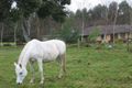 Property photo of 22 Tymkin Road Rokeby VIC 3821