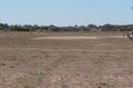 Property photo of 5 Gawler River Road Two Wells SA 5501