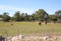 Property photo of 579 Bublacowie Road Yorketown SA 5576