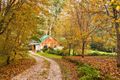 Property photo of 1135 Barham River Road Apollo Bay VIC 3233
