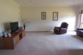 Property photo of 254 Pattersons Lane Young NSW 2594