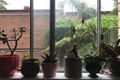 Property photo of 2/64-66 Australia Street Camperdown NSW 2050