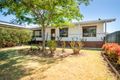 Property photo of 43 Larmer Street Howlong NSW 2643