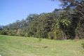 Property photo of 474 Diddillibah Road Diddillibah QLD 4559