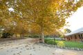 Property photo of 76 Mount McIntosh Road Naracoorte SA 5271