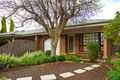 Property photo of 28 Williams Avenue St Morris SA 5068