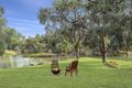 Property photo of 3 Anabranch Place Renmark SA 5341