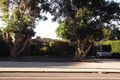 Property photo of 38 Beasley Road Leeming WA 6149