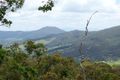 Property photo of 2090 Tamborine Mountain Road Benobble QLD 4275