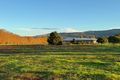 Property photo of 5985 New England Highway Blandford NSW 2338