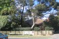 Property photo of 256 Middleborough Road Blackburn South VIC 3130