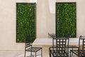 Property photo of 4/36 Botany Street Bondi Junction NSW 2022