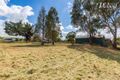 Property photo of 11 Wattle Street Culcairn NSW 2660