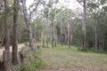 Property photo of 264 Ringtail Creek Road Ringtail Creek QLD 4565