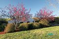 Property photo of 11 Lindwall Place Nicholls ACT 2913