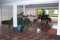 Property photo of 36 Purbeck Place Edge Hill QLD 4870