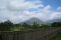 Property photo of 15 Wienert Close Gordonvale QLD 4865