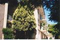 Property photo of 1/32 Tamar Street Annerley QLD 4103