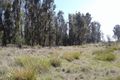 Property photo of 134 Drovers Rise Carlton River TAS 7173