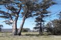 Property photo of 134 Drovers Rise Carlton River TAS 7173