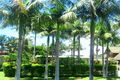 Property photo of 36 Kingsley Street Byron Bay NSW 2481